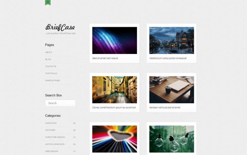 Briefcase Free Portfolio WordPress Theme