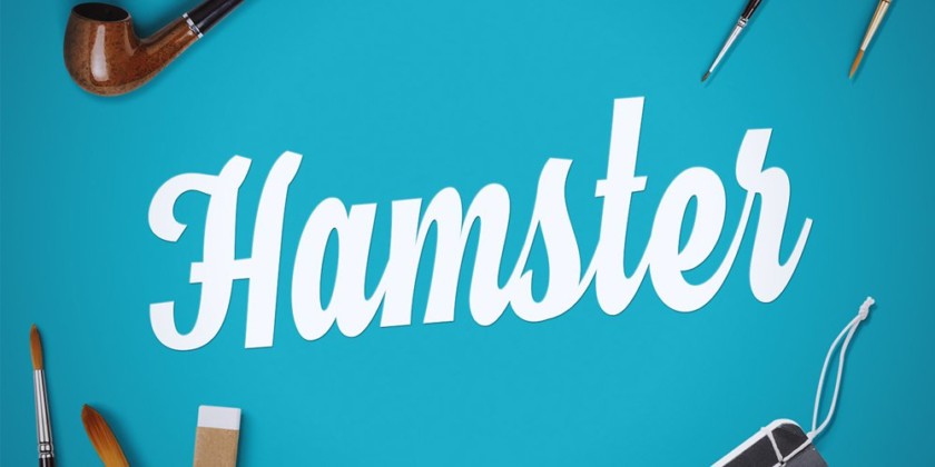  Hamster Script