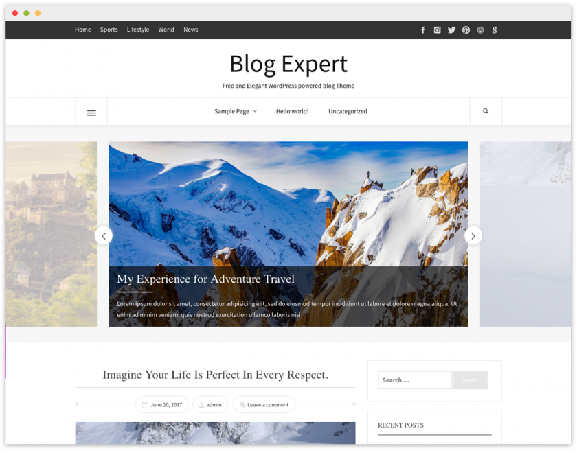 Blog Expert Free Wp Blogging Theme
