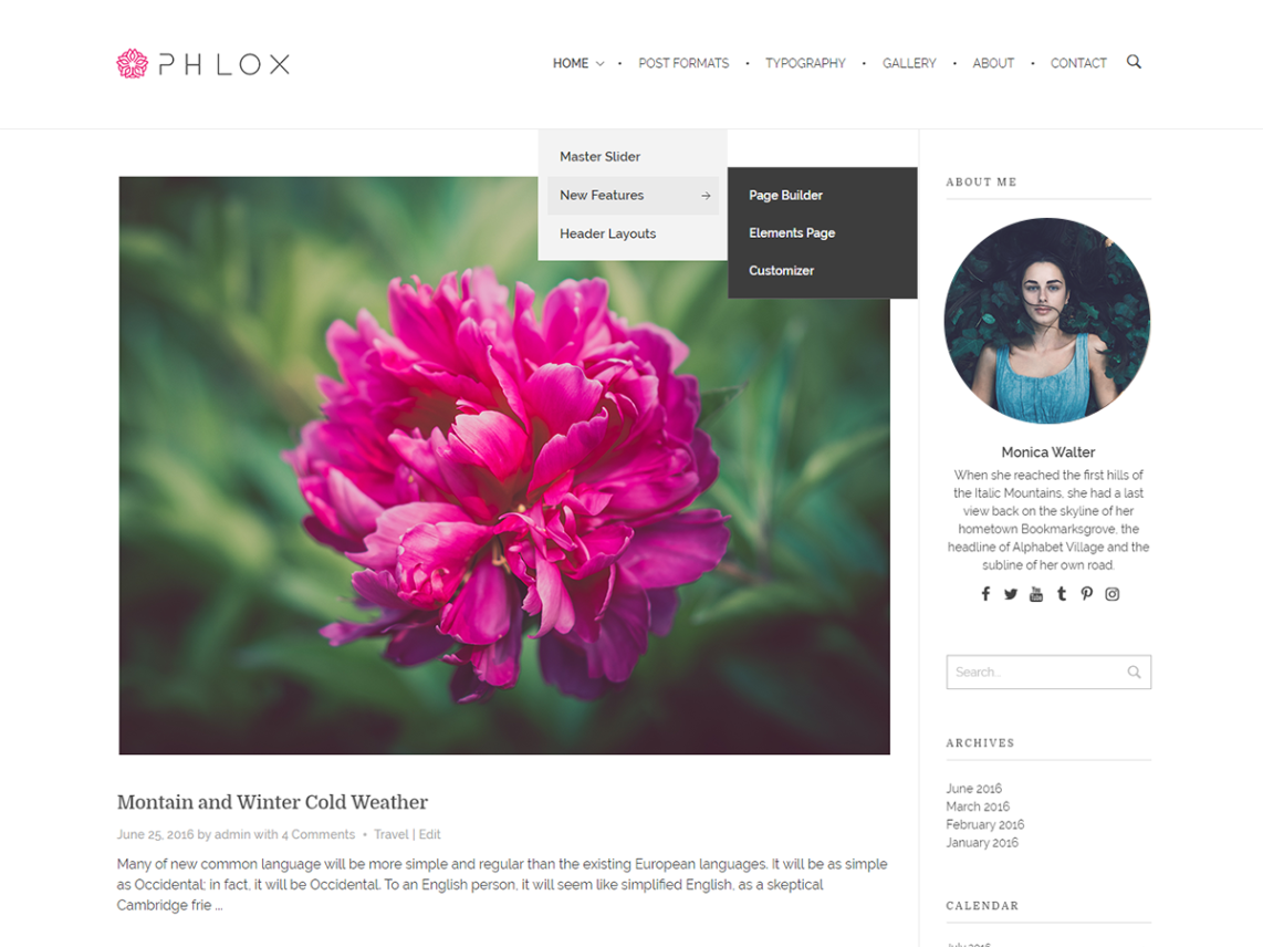 Phlox Free Blogging Portfolio Wp Theme