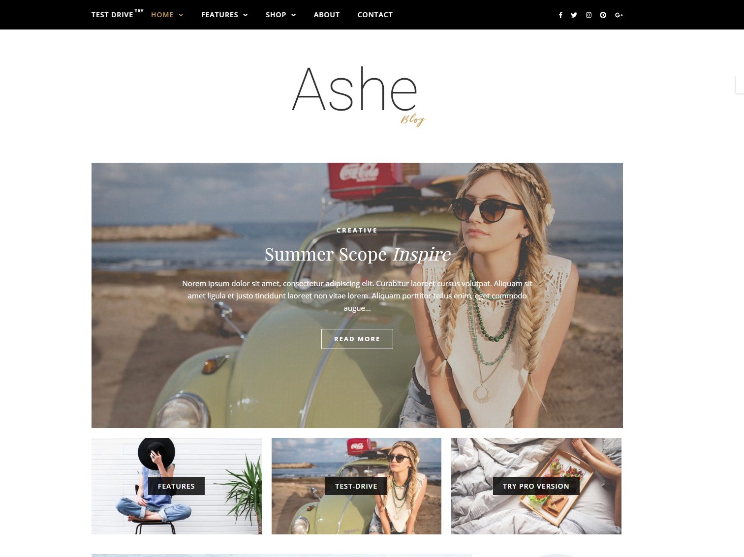 Ashe – Free Multipurpose WordPress theme