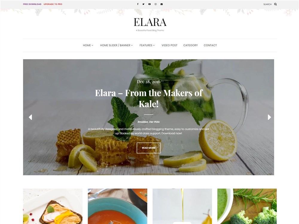 Elara – Free Food blog WordPress theme