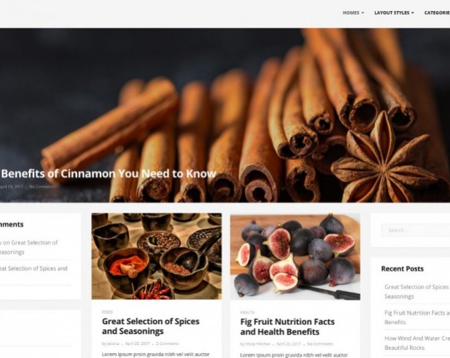 Donna – Free minimalist multi columns WordPress theme with big Slider