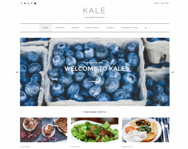 Kale – Free clean & SEO Optimized WordPress food blogging theme